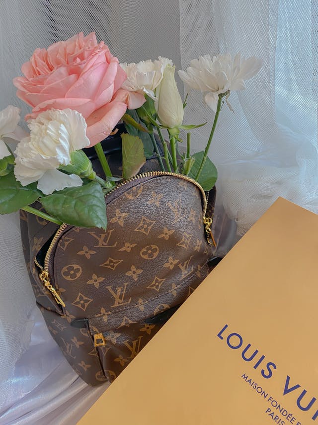 Bolso Louis Vuiton